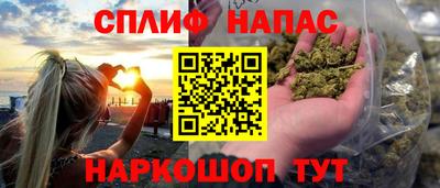 спиды Обь