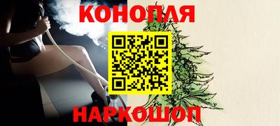 спиды Обь