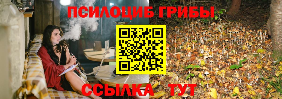 Псилоцибиновые грибы прущие грибы Феодосия