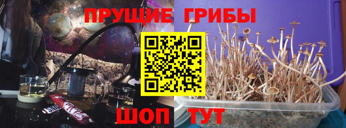 Феодосия  Галлюциногенные грибы Cubensis  Псилоцибиновые грибы мухоморы  Вход с VPN 